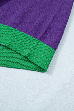 Tillandsia Purple Mardi Gras Tinsel Graphic Short Sleeve Sweater