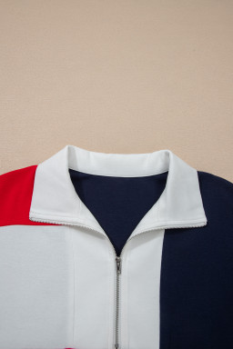 Navy Blue Americana Colorblock Stripes Zip up Collared T Shirt Mini Dress