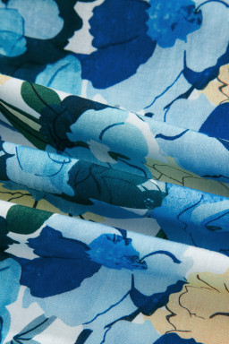 Sky Blue Floral Print Short Puff Sleeve V Neck Blouse