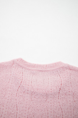 Light Pink Semi Sheer Lace Long Sleeve Cropped Top