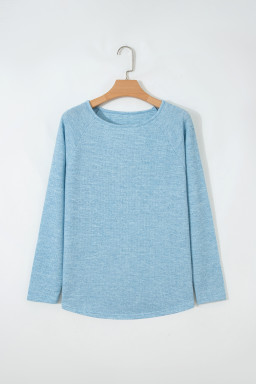 Myosotis Textured Raglan Sleeve Knit Loose Top