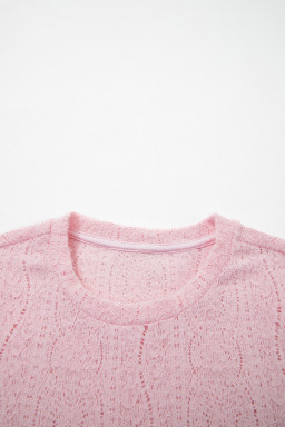 Light Pink Semi Sheer Lace Long Sleeve Cropped Top