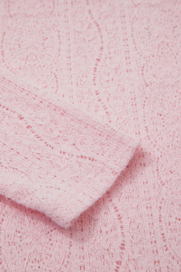 Light Pink Semi Sheer Lace Long Sleeve Cropped Top