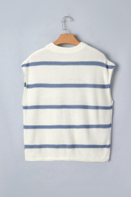 Blue Striped Batwing Sleeve Sweater Tee