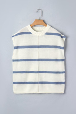 Blue Striped Batwing Sleeve Sweater Tee