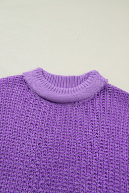 Wisteria Solid Color Knit High Neck Short Sleeve Sweater