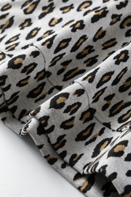 Beige Leopard Print Casual Tee and Pants 2pcs Outfit