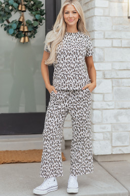 Beige Leopard Print Casual Tee and Pants 2pcs Outfit