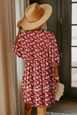 Red Floral Print Contrast Trim Button Tie Neck Swing Dress