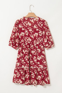 Red Floral Print Contrast Trim Button Tie Neck Swing Dress