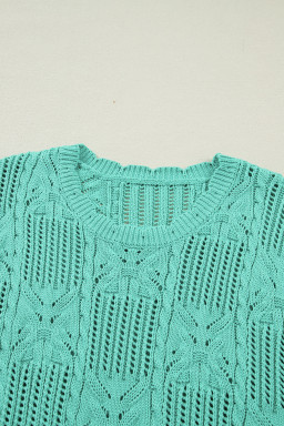 Mint Green Pointelle Knit Patterned Scalloped Trim Short Sleeve Sweater
