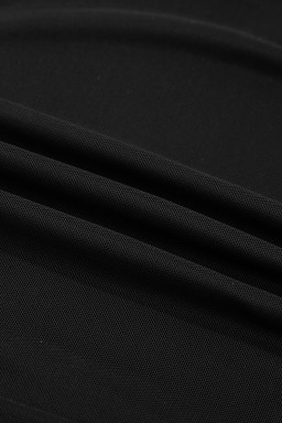 Black Sheer Mesh Patchwork High Neck Long Sleeve Top