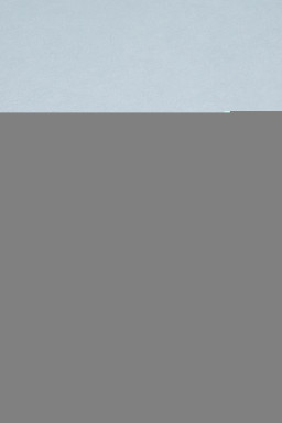 Khaki Stripe Half Buttons Round Neck T Shirt