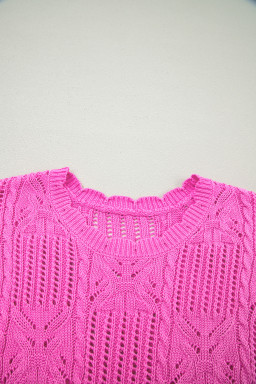 Bonbon Pointelle Knit Patterned Scalloped Trim Short Sleeve Sweater
