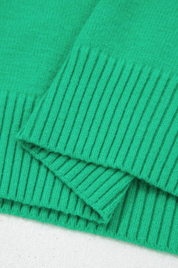 Bright Green Solid Color Ribbed Trim Round Neck Ruffle Short Sleeve Sweater