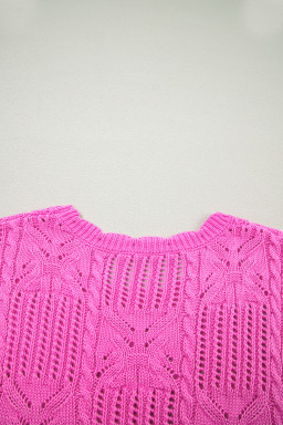 Bonbon Pointelle Knit Patterned Scalloped Trim Short Sleeve Sweater