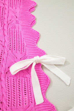 Bonbon Pointelle Knit Patterned Scalloped Trim Short Sleeve Sweater