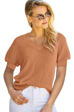 Gold Flame Solid Color Knit Contrast Hollowed Short Sleeve V Neck Sweater