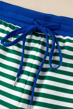 Green Stripe Boxy Tee Drawstring Elastic Waist Plus Size Short Set