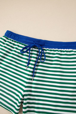 Green Stripe Boxy Tee Drawstring Elastic Waist Plus Size Short Set