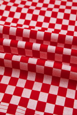 Red Checkered Print Ruffle Short Sleeve Contrast Trim Round Neck Top