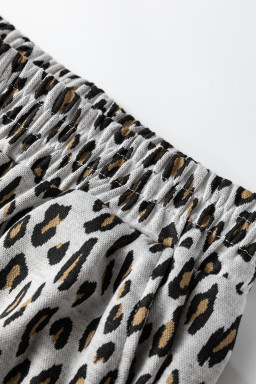 Beige Leopard Print Casual Tee and Pants 2pcs Outfit