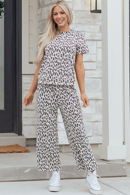 Beige Leopard Print Casual Tee and Pants 2pcs Outfit