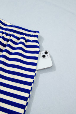 Blue Stripe Contrast Trim Cap Sleeve Top Casual Shorts 2pcs Set