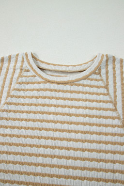 Apricot Stripe Plus Size Textured Patchwork Detail Half Sleeve Top