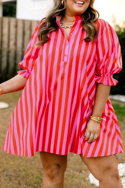 Rose Stripe Plus Size Dresses