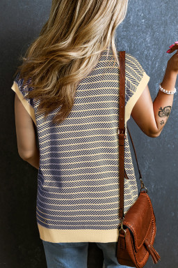 Navy Stripe Contrast Trim Sleeveless Polo Collar Sweater