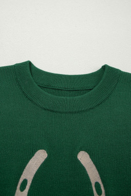 Blackish Green Horseshoe Graphic Western Short Sleeve Sweater