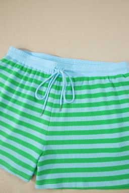 Green Stripe Plus Size Colorblock Detail Puff Sleeve Top Drawstring Shorts 2pcs Outfit