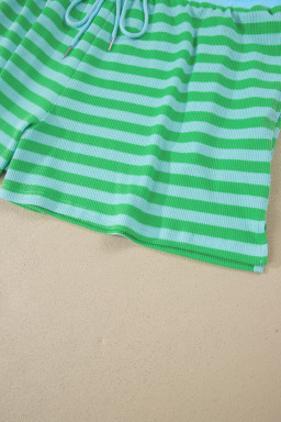 Green Stripe Plus Size Colorblock Detail Puff Sleeve Top Drawstring Shorts 2pcs Outfit