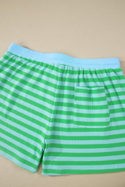 Green Stripe Plus Size Colorblock Detail Puff Sleeve Top Drawstring Shorts 2pcs Outfit
