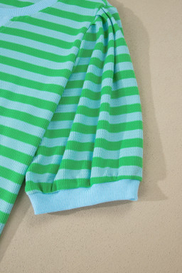 Green Stripe Plus Size Colorblock Detail Puff Sleeve Top Drawstring Shorts 2pcs Outfit