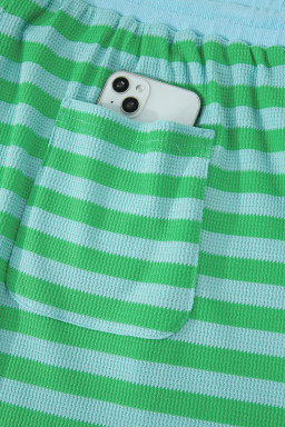 Green Stripe Plus Size Colorblock Detail Puff Sleeve Top Drawstring Shorts 2pcs Outfit
