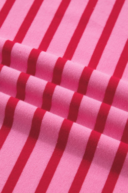 Rose Stripe Striped Short Sleeve Scalloped Trim Side Slit T-Shirt Dress