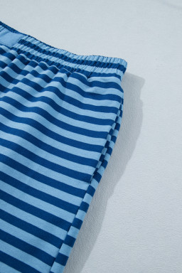 Blue Stripe Plus Size Dropped Shoulder Tee and Shorts Two-Piece Set
