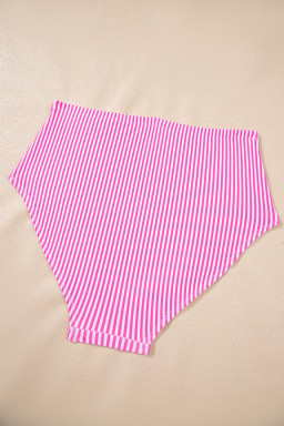 Rose Stripe Print Knot Straps 2pcs High Waist Bikini Swimsuit