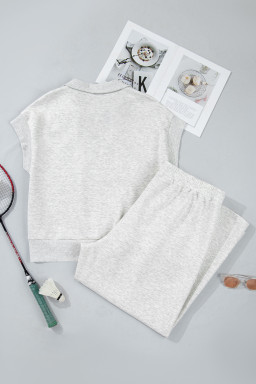 Light Grey Half Zip Polo Tee Loose Pants Plus Size 2pcs Outfit