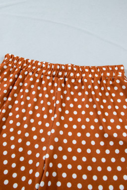 Brown Polka Dot Print Dropped Shoulder Tee Plus Size Short Set
