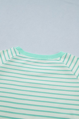 Green Stripe Colorblock Trim Round Neck Short Sleeve Tee