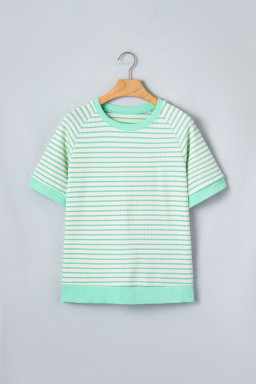 Green Stripe Colorblock Trim Round Neck Short Sleeve Tee