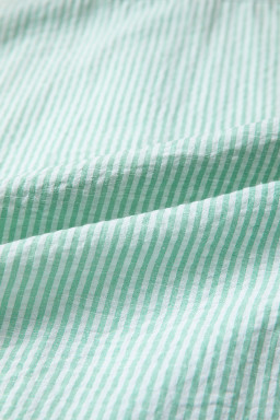 Green Stripe Leopard Contrast Collar Short Sleeve Shirt