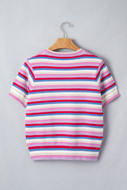 Multicolour Textured Stripes Knit Short Sleeve Sweater