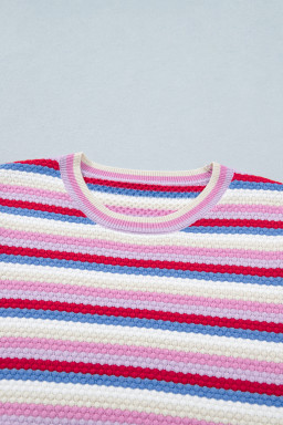 Multicolour Textured Stripes Knit Short Sleeve Sweater