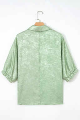 Clearly Aqua Collared V Neck Half Sleeve Metallic Top