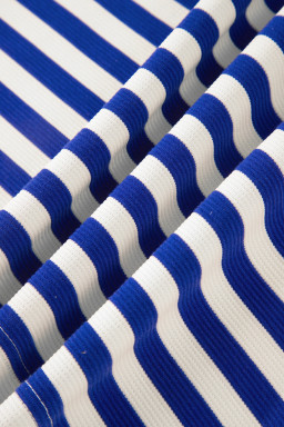 Dark Blue Textured Stripe Print Contrast Trim Zip Collar Sleeveless 2pcs Skort Set