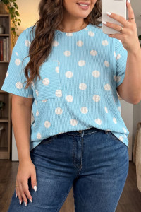 Shewin Copyright
